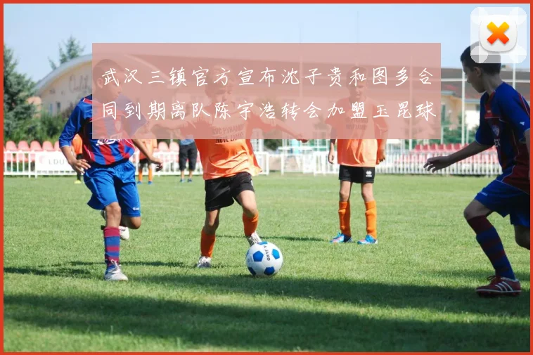 武汉三镇官方宣布沈子贵和图多合同到期离队陈宇浩转会加盟玉昆球队