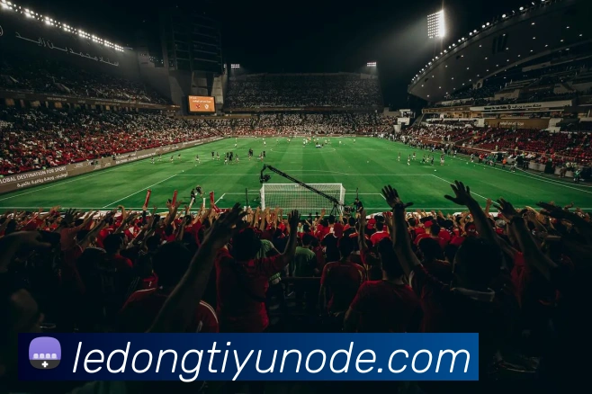 多媒体互动体验