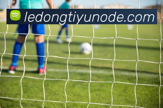 乐动体育APP 高清赛事图