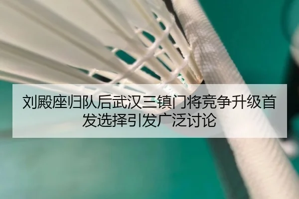 刘殿座归队后武汉三镇门将竞争升级首发选择引发广泛讨论 - LDSPORTS